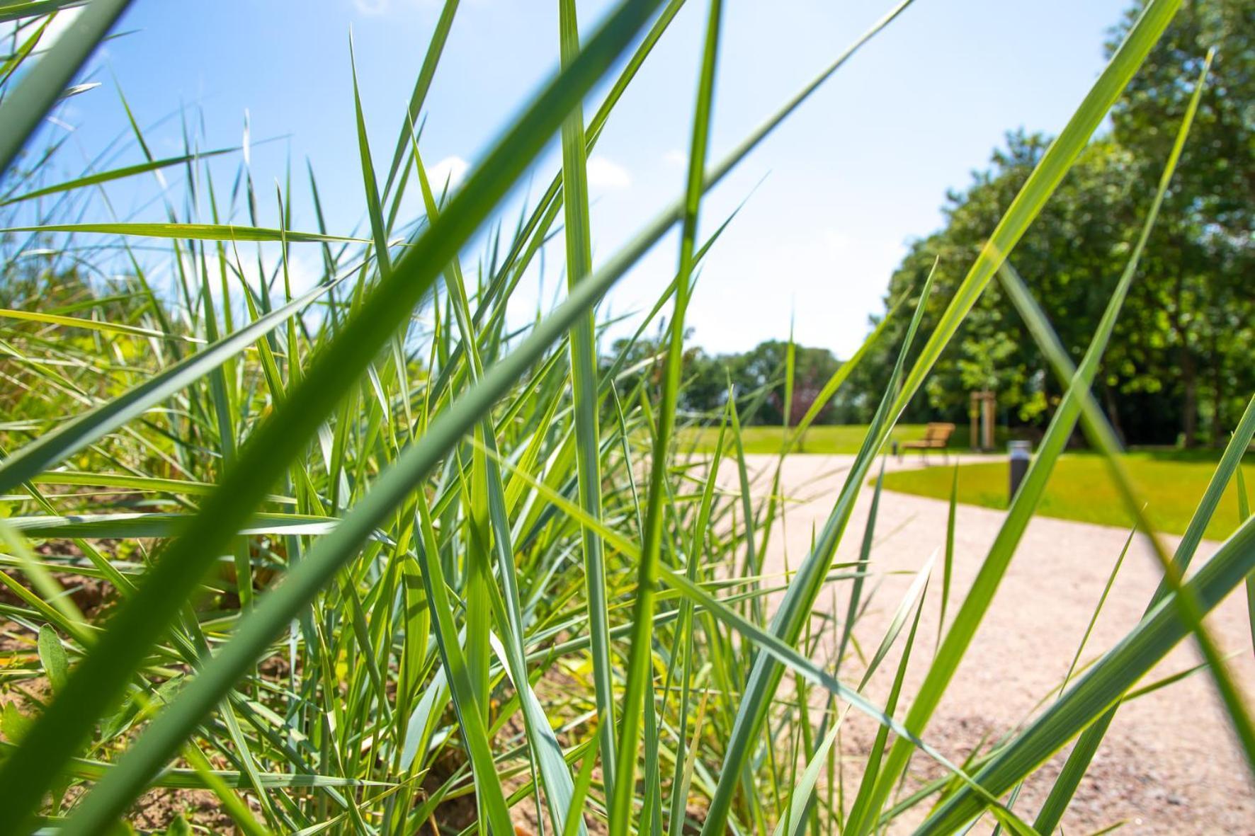 Wohnen Am Suedstrand - Ferienwohnung 0 4 Wyk auf Fohr Bagian luar foto