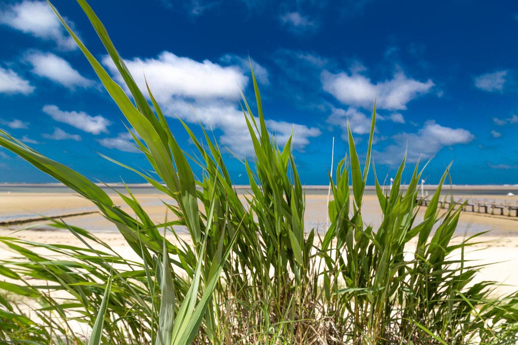 Wohnen Am Suedstrand - Ferienwohnung 0 4 Wyk auf Fohr Bagian luar foto