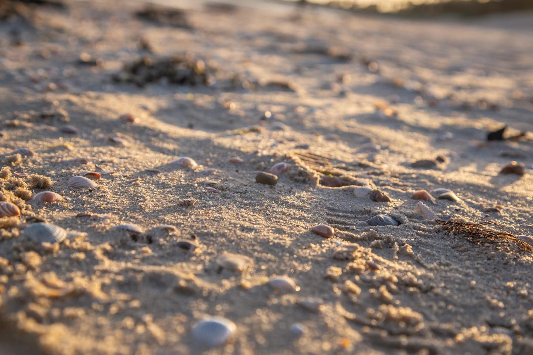 Wohnen Am Suedstrand - Ferienwohnung 0 4 Wyk auf Fohr Bagian luar foto